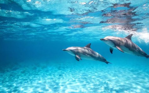 Filipiny z DiscoverAsia Bohol i Cebu (7).jpg